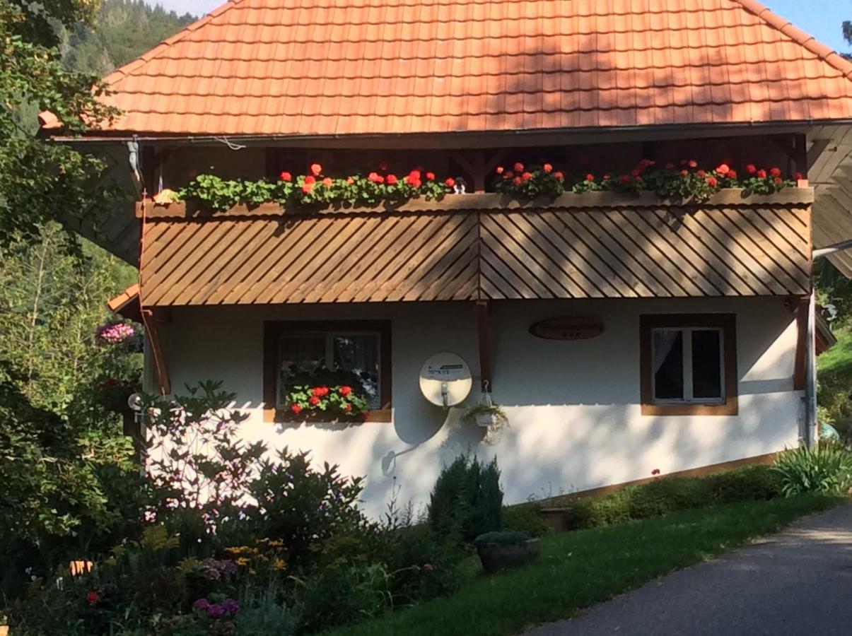 Ferienwohnung Zweilinden 스타이넨 외부 사진